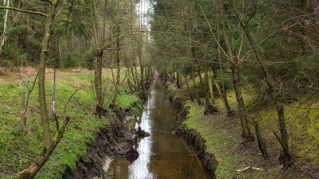 channel, watercourse, drainage, nature, bach, forest, trees, stream, fall, drainage, drainage, drainage, drainage, drainage. Outdoor living: drainage, shade, seating and light