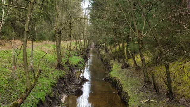 channel, watercourse, drainage, nature, bach, forest, trees, stream, fall, drainage, drainage, drainage, drainage, drainage. Outdoor living: drainage, shade, seating and light