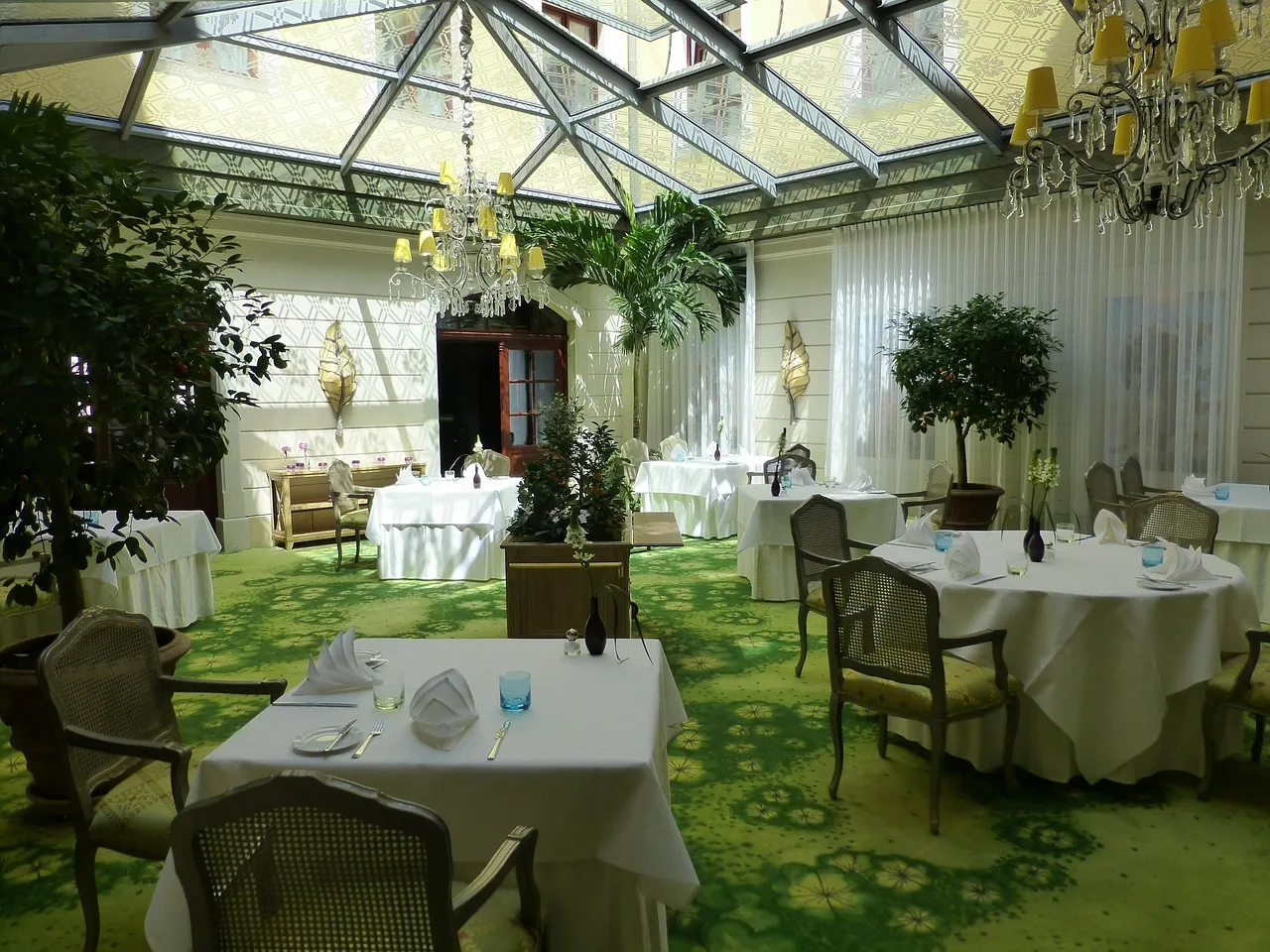 winter garden, bülow palais, patio, gastronomy, dresden, baroque district, luxury hotel, saxony, patio, patio, patio, patio, patio, dresden, dresden. 5 covered patio lessons that keep showing up on real jobs