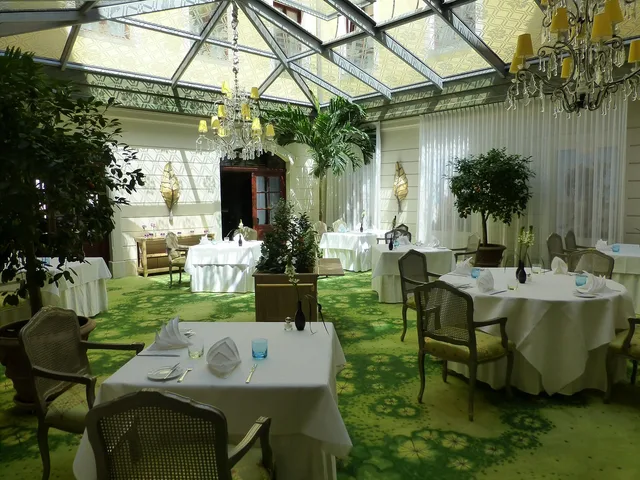winter garden, bülow palais, patio, gastronomy, dresden, baroque district, luxury hotel, saxony, patio, patio, patio, patio, patio, dresden, dresden. 5 covered patio lessons that keep showing up on real jobs