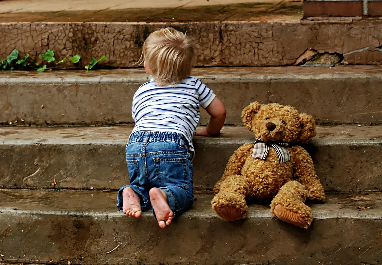 boy, childhood, steps, teddy, outdoors baby, toddler, small, happy, crawling, single, porch, cute, brown happy, brown happiness, steps, steps, steps, steps, steps, crawling, crawli