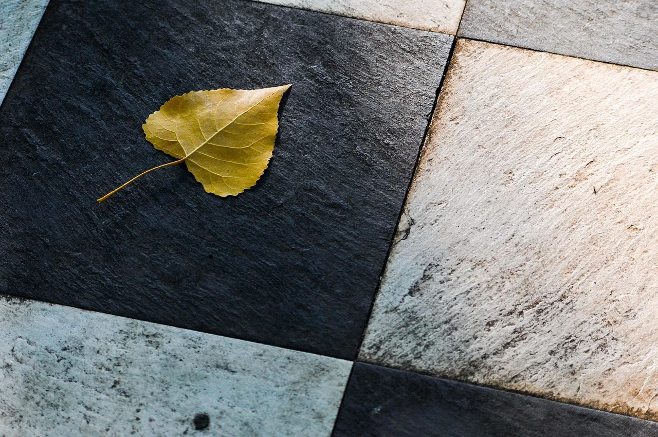 leaf, tiles, floor, autumn, nature, tiles, tiles, tiles, tiles, floor, floor, floor, floor, floor. Small patio faults and what causes them: ponding, washout, rocking furniture, umbrella gusts and hot surfaces