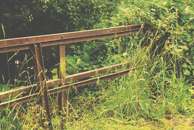 fence, rusty, grass, weeds, garden, overgrown, nature. Outdoor space makeover regrets: upkeep, weather and design choices