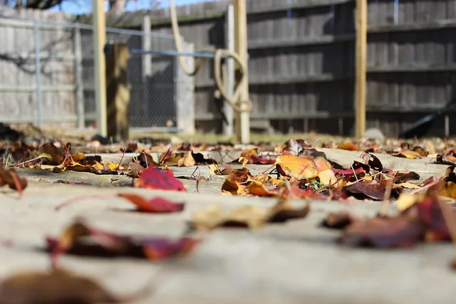 fall, autumn, leaves, nature, season, patio. Winter prep for Canadian outdoor living spaces, a checklist that follows the seasons